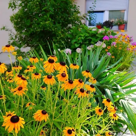 Апартаменты Halilovic Hadzici