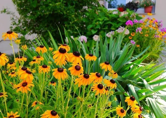 Apartment Halilovic Hadzici