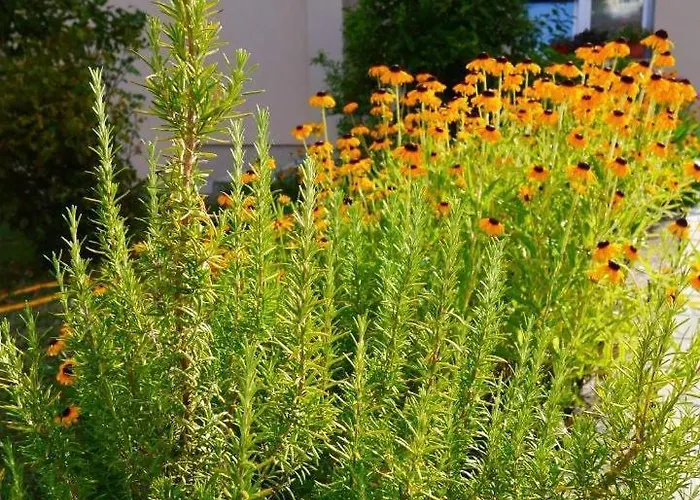 Halilovic Apartment Hadzici